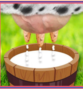 Cow Milking Simulator